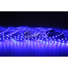 Открытая светодиодная лента SMD 5050 60LED/m IP33 12V Blue LUX GSlight